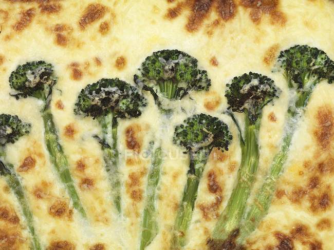 Brokkoli-Quiche mit Käse — Stockfoto