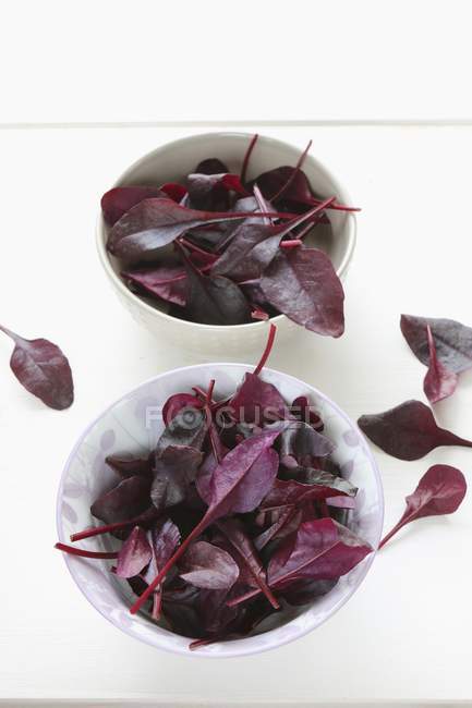 Bowls of beetroot leaves — Stock Photo