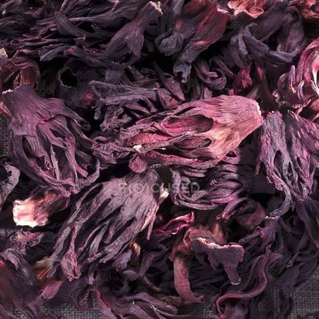 Closeup view of dried hibiscus flowers — Stock Photo