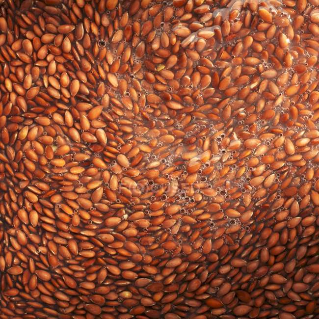 Flax seeds softened — Stock Photo