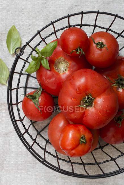 Varios tomates rojos - foto de stock