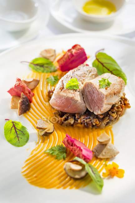 Fillet on a bed of risotto with seeds — Stock Photo
