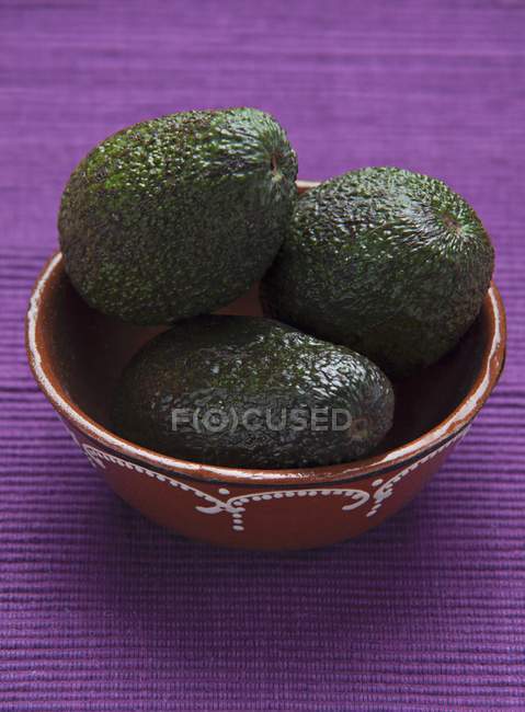 Avocados in ceramic bowl — Stock Photo