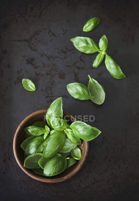 Basil leaves in wooden bowl — Stock Photo