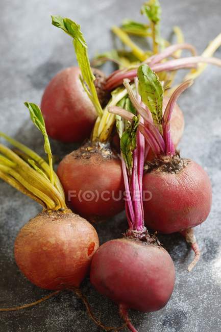 Golden and chioggia beets — Stock Photo