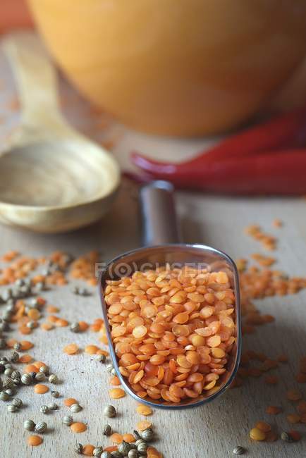 Red lentils in a metal scoop — Stock Photo