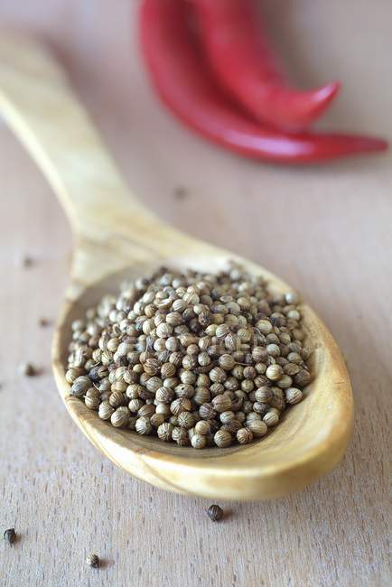 Coriander seeds on spoon — Stock Photo