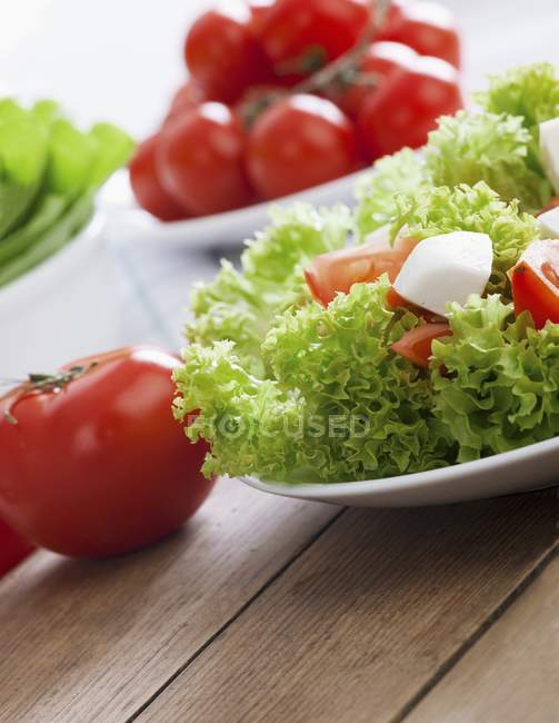 Lollo biondo lettuce — Stock Photo