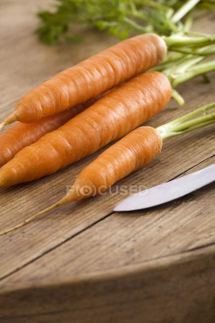 Cenouras em bruto frescas — Fotografia de Stock