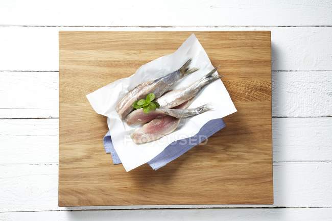 Fresh herring fillets — Stock Photo