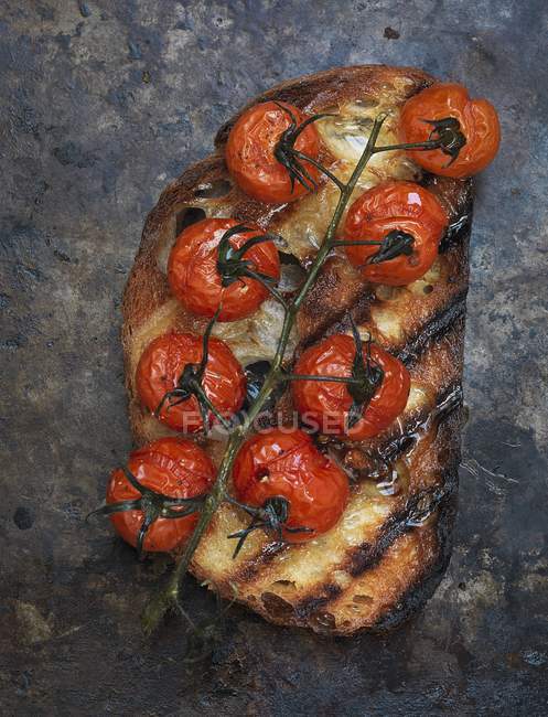 Slice of toasted bread with tomatoes — Stock Photo