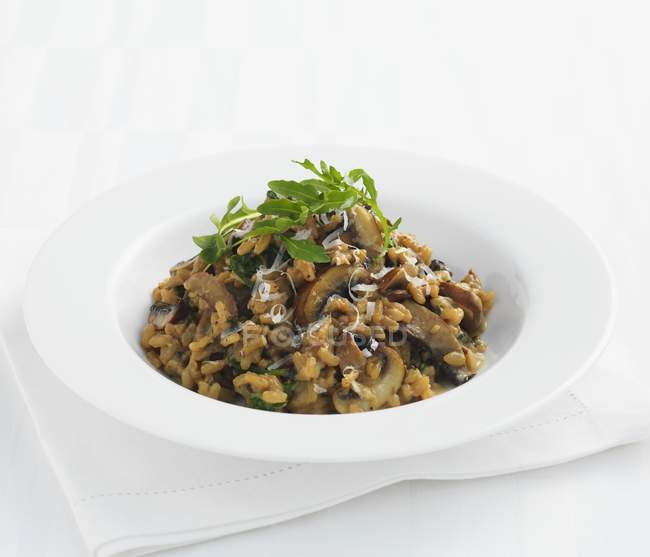 Closeup view of mushroom Risotto with herbs — Stock Photo