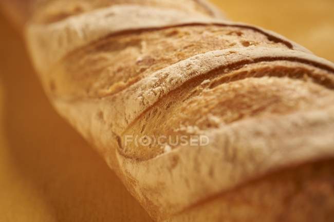 Batard bread from France — Stock Photo