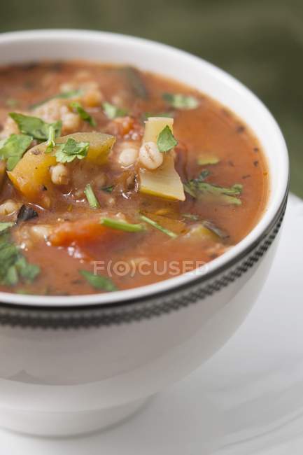 Ячменный суп с овощами в белой миске — стоковое фото