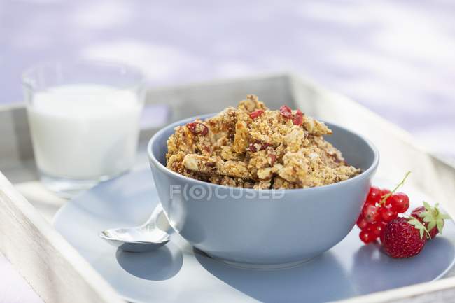 Bowl of muesli on tray — Stock Photo