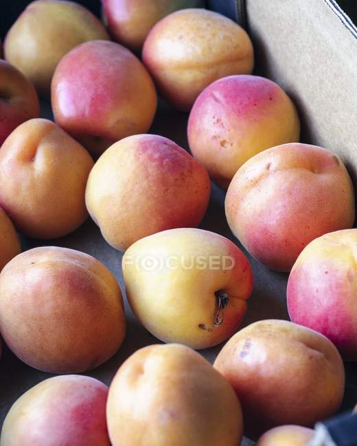 Ящик свежих абрикосов — стоковое фото