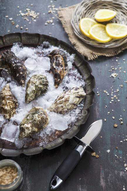 Fresh oysters on ice with lemon slices — Stock Photo
