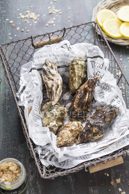 Fresh oysters on piece of newspaper — Stock Photo