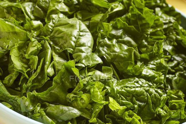Fresh chopped spinach leaves — Stock Photo