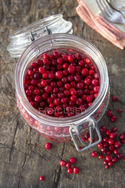Jar of fresh lingonberries — Stock Photo