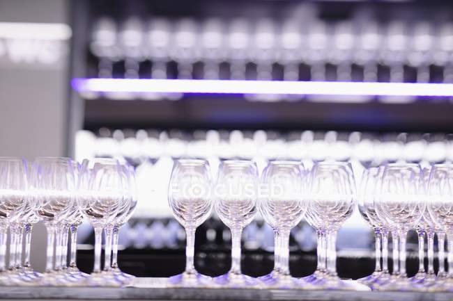 Vasos de vino vacíos - foto de stock