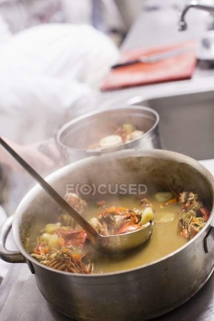 Closeup view of crustacean sauce with ladle in pot — Stock Photo