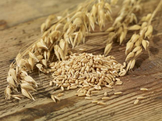 Oat seeds and ears of oats — Stock Photo