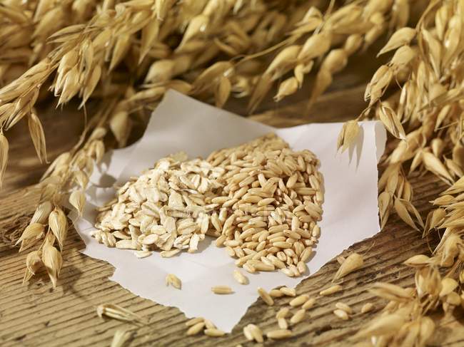 Oat seeds on paper — Stock Photo