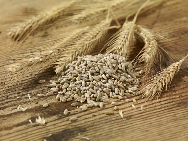 Rye seeds and ears of rye — Stock Photo