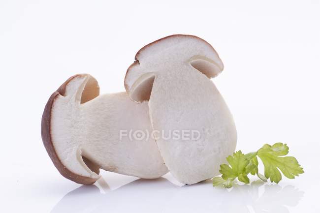 Um cogumelo Porcini fresco cortado pela metade na superfície branca — Fotografia de Stock