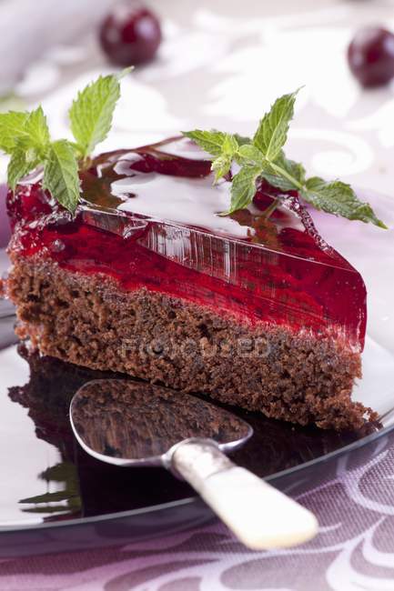 Tranche de gâteau au chocolat — Photo de stock