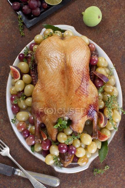 Pato assado com uvas frescas e figos — Fotografia de Stock