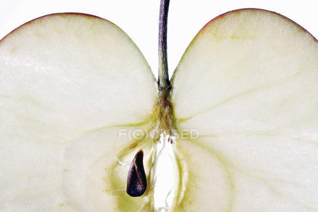 Fresh apple slice — Stock Photo
