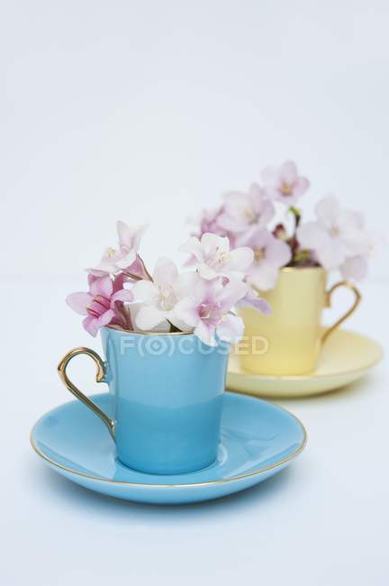 Purple and white flowers in colorful antique cups with saucers — Stock Photo