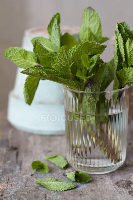 Fresh mint in glass of water — Stock Photo