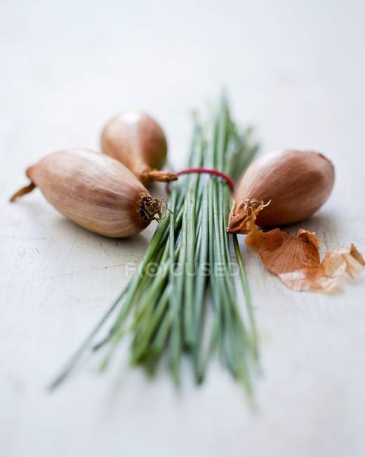 Chives and onions on white — Stock Photo