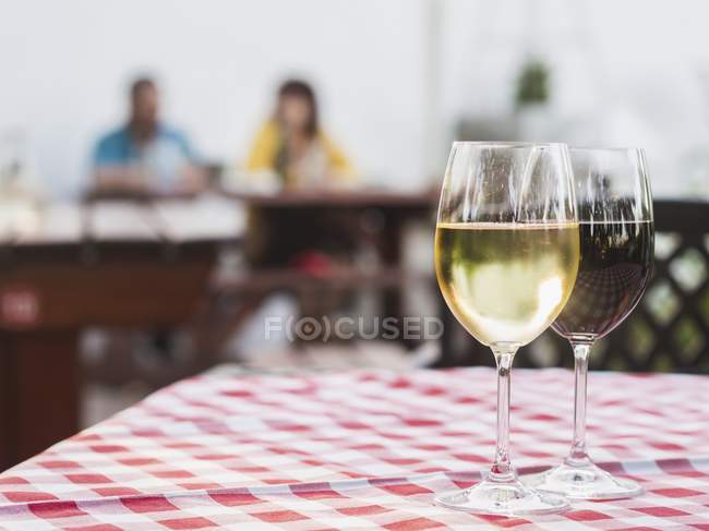 Красное и белое вино ЮАР — стоковое фото