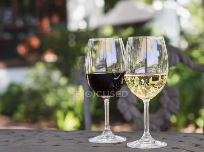 Red and white South African wine — Stock Photo
