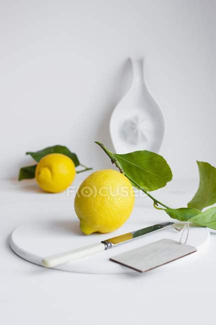 Fresh Lemons with leaves — Stock Photo