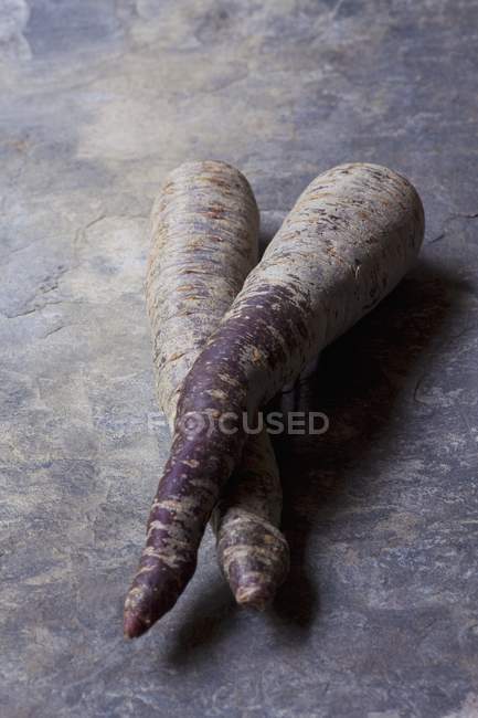 Deux carottes violettes — Photo de stock