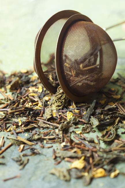 Chá verde não cozido — Fotografia de Stock