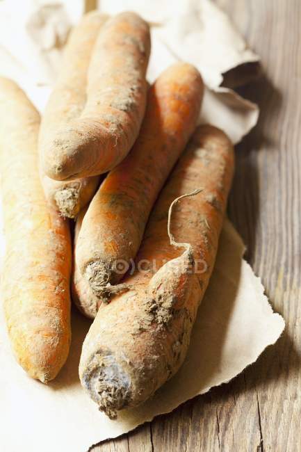 Zanahorias ecológicas con tierra - foto de stock