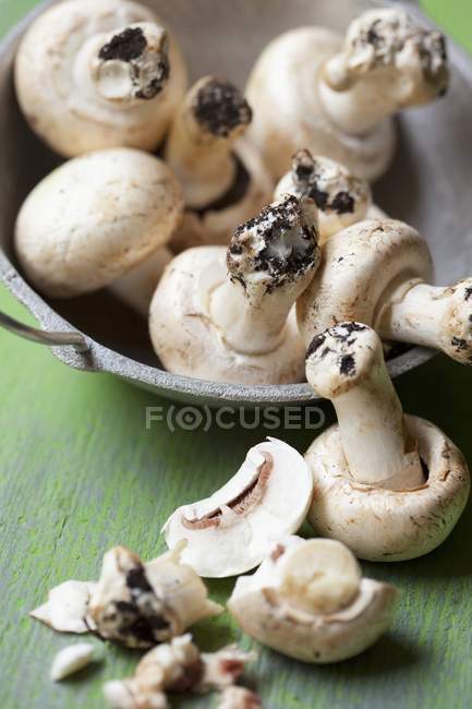 Fresh mushrooms with soil — Stock Photo