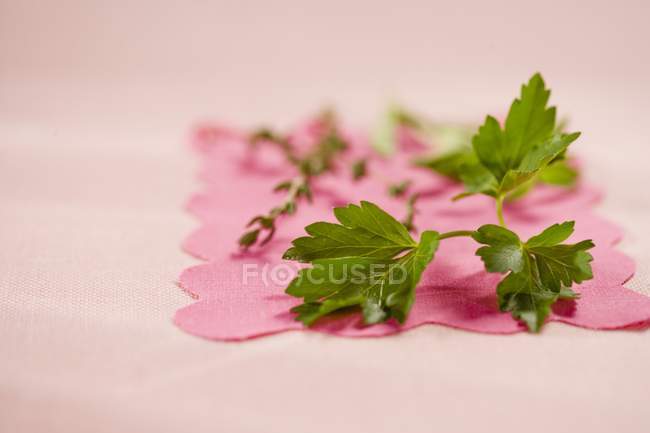 Fresh Parsley and thyme — Stock Photo