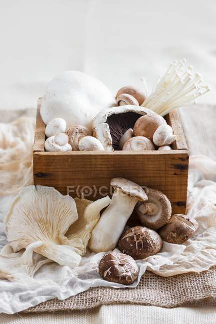 Fresh mushrooms with wooden box — Stock Photo