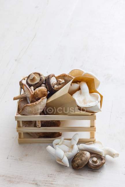 Cogumelos em sacos de papel — Fotografia de Stock