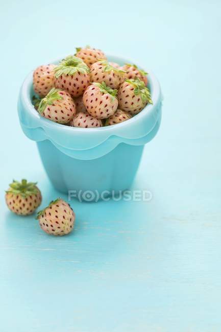 Fresh Pineberries in plastic bucket — Stock Photo
