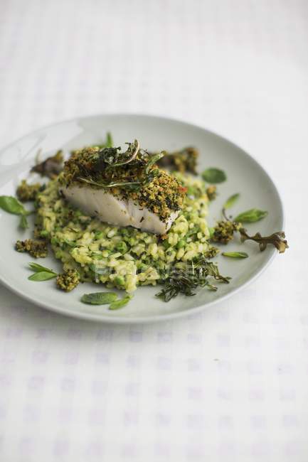 Baked cod on pea risotto — Stock Photo