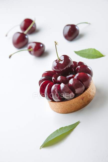 Small cherry tartlet — Stock Photo