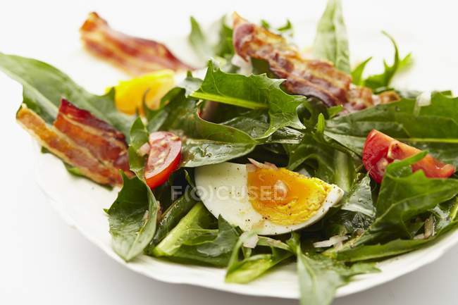Salada de dente de leão com tomates e bacon frito — Fotografia de Stock